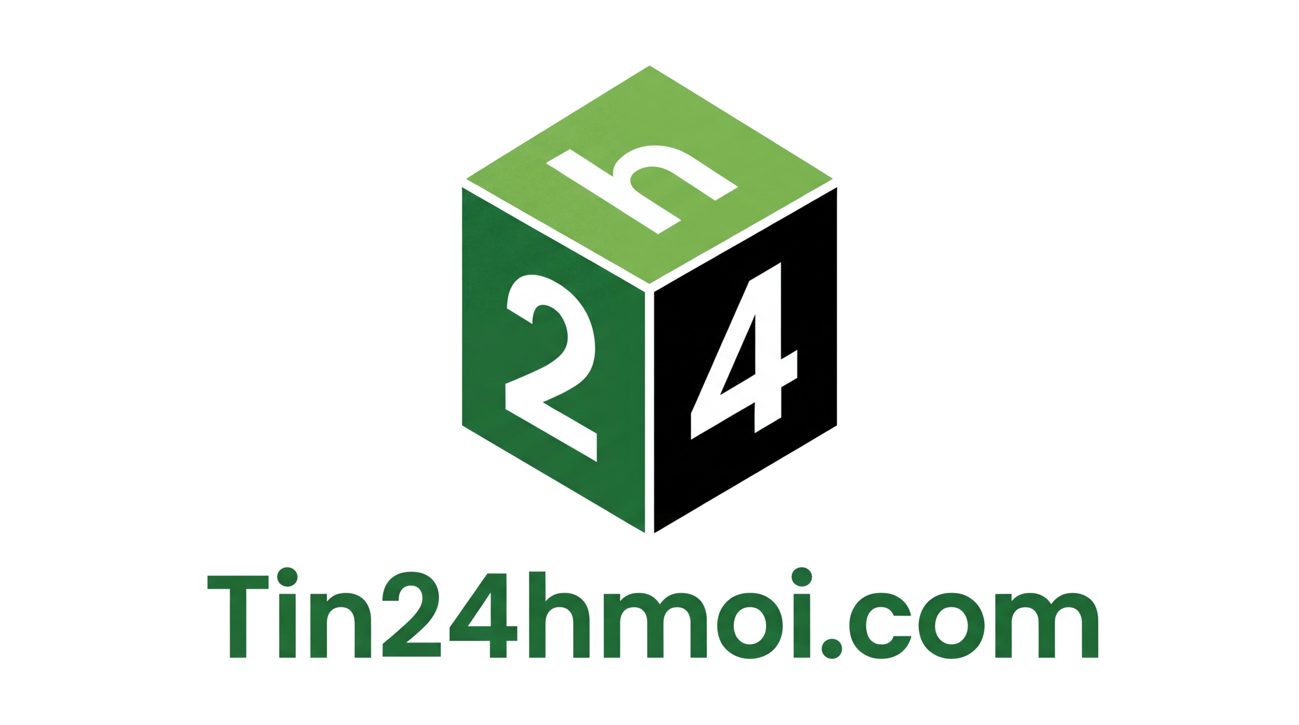 logo tin24hmoi.com