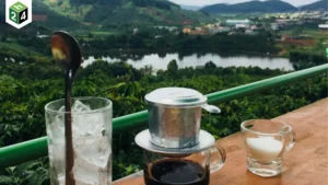 Lợi ích cà phê sáng thần dược cho tim mạch và tuổi thọ