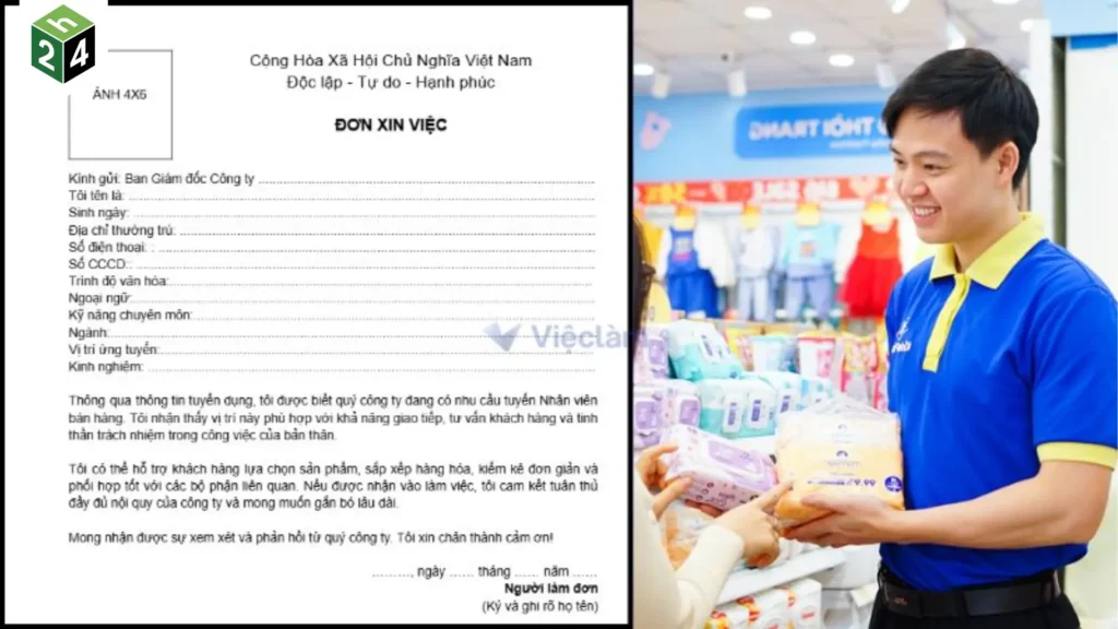 [Mẫu chuẩn] Đơn xin việc, tải đơn xin việc miễn phí 2026