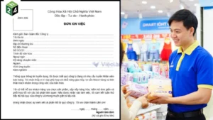 [Mẫu chuẩn] Đơn xin việc, tải đơn xin việc miễn phí 2026