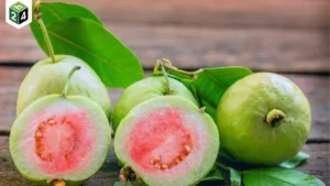 Trái gì bổ sung Vitamin C nhiều Cam, Táo hay Ổi