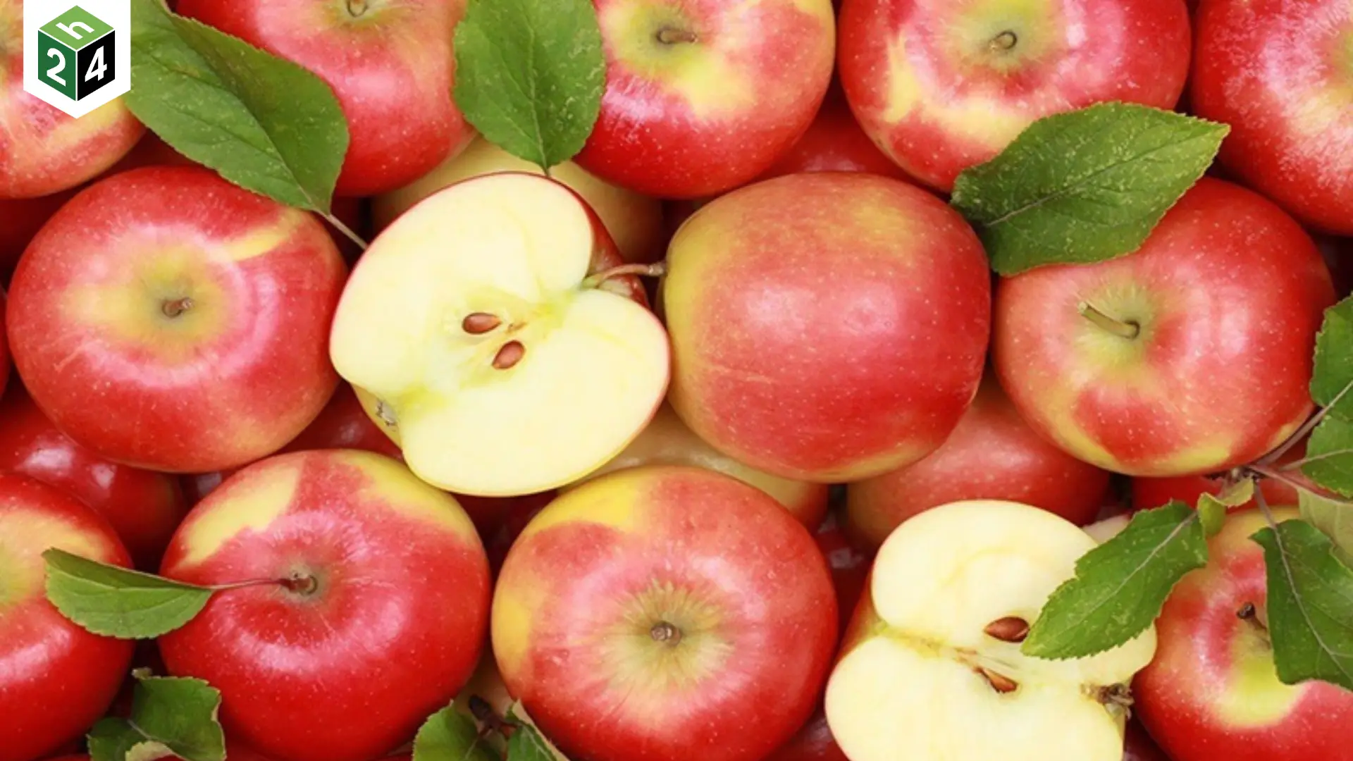 Trái gì bổ sung Vitamin C nhiều Cam, Táo hay Ổi